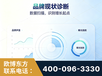 海阳-品牌现状诊断