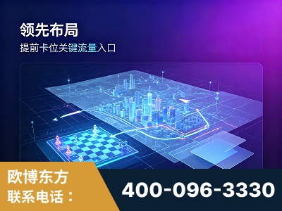 海阳-领先布局：于2024年初开启GEO业务的公司